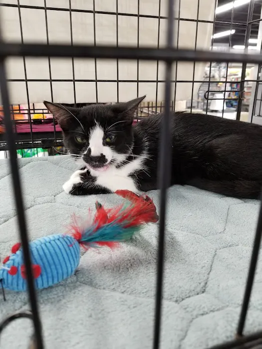 Pet Supermarket Picture 5