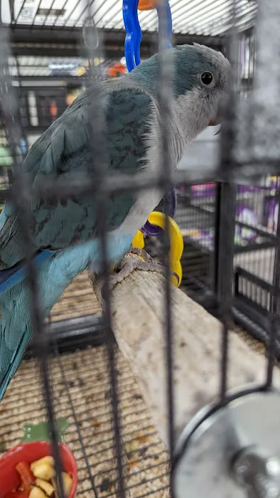 Pet Supermarket Picture 10
