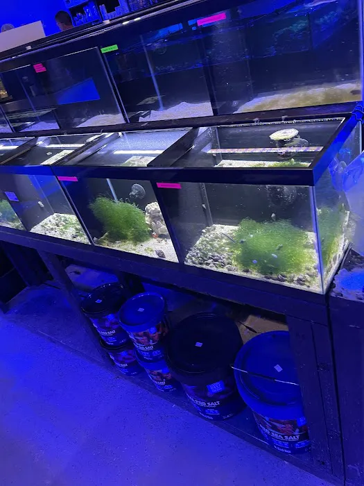 Reef Gurus Picture 6