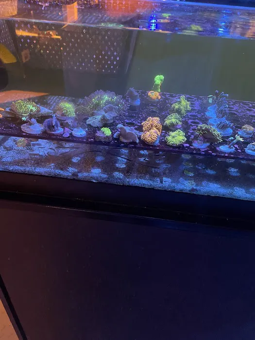 Reef Gurus Picture 1