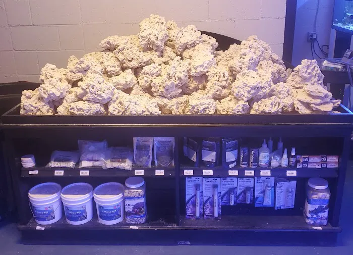 Reef Gurus Picture 5