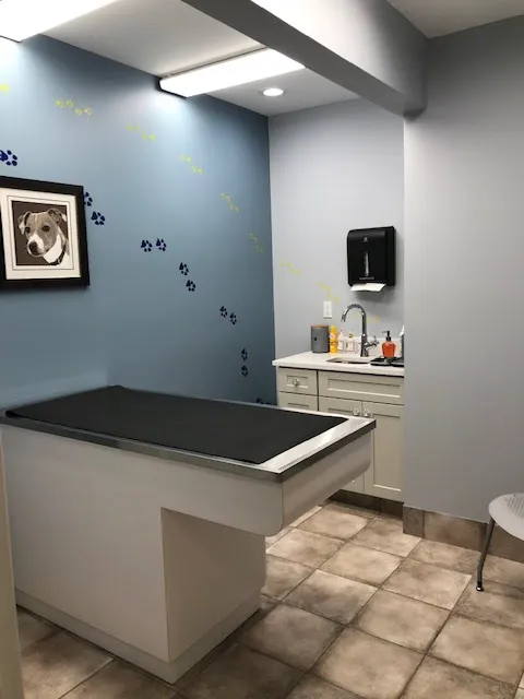 Glastonbury Animal Hospital Picture 5