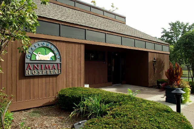 Glastonbury Animal Hospital Picture 8