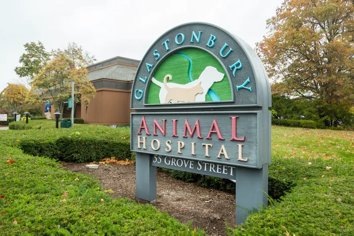 Glastonbury Animal Hospital Picture 4