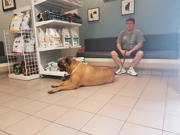 Glastonbury Animal Hospital Picture 7