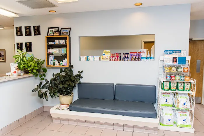 Glastonbury Animal Hospital Picture 10