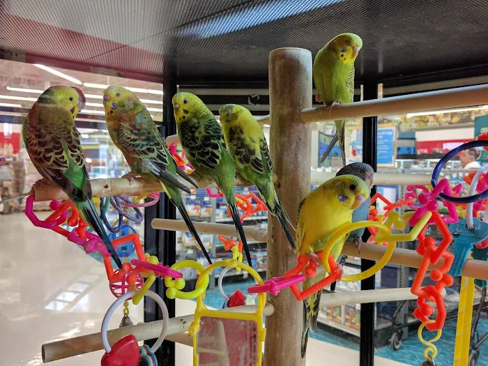 Petco Picture 3