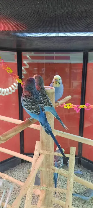 Petco Picture 2