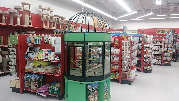 Petco Picture 4