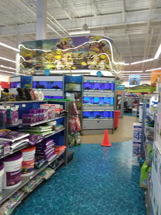 Petco Picture 6