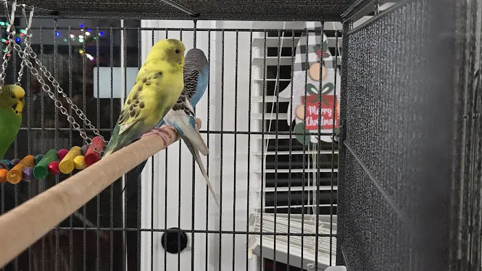 Petco Picture 5