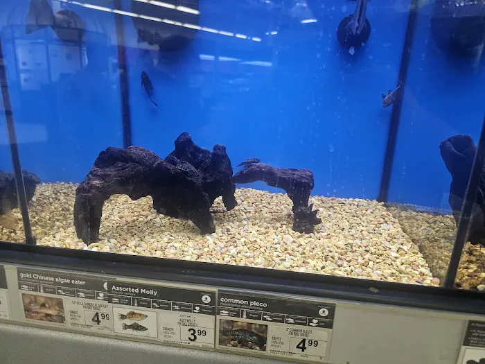 Petco Picture 7