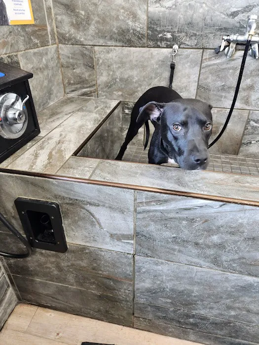 Pet Supermarket Picture 10