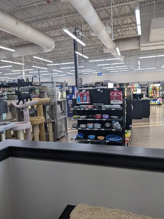 Pet Supermarket Picture 9