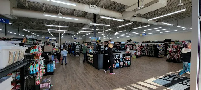 Pet Supermarket Picture 4