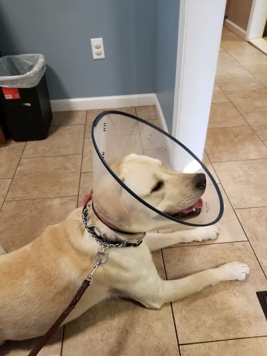 East Side Veterinary Clinic Picture 5
