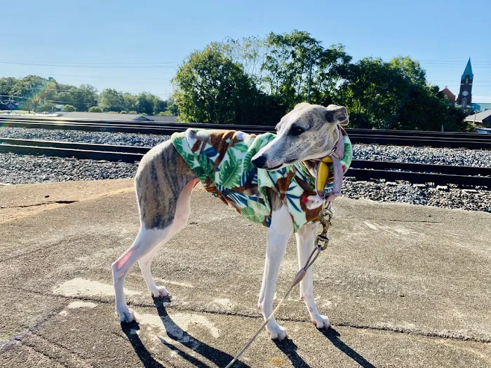 Le Dog Wear Picture 8