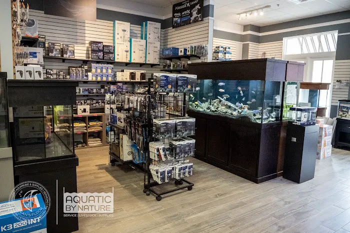 Ocean's Floor, LLC. Picture 5