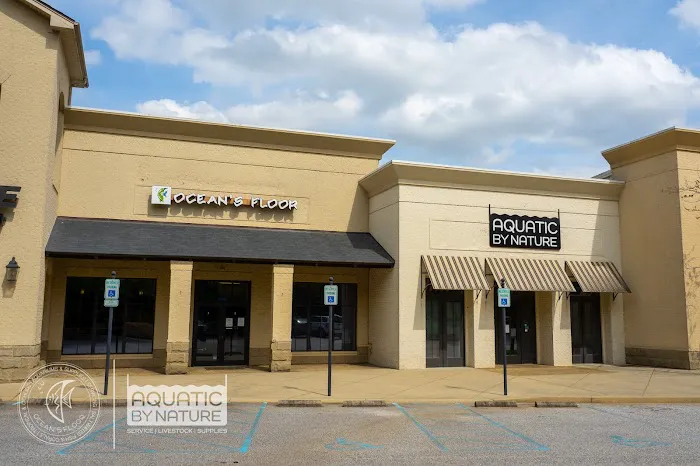 Ocean's Floor, LLC. Picture 1