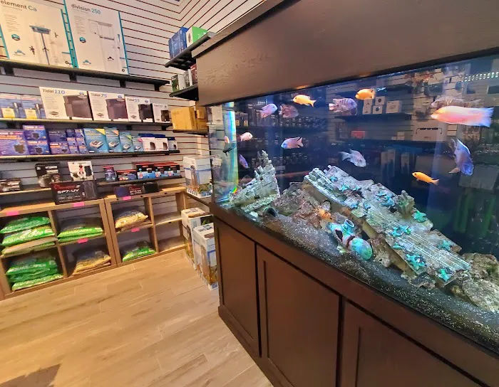 Ocean's Floor, LLC. Picture 3