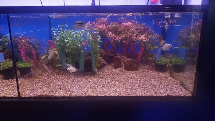 Ocean's Floor, LLC. Picture 10