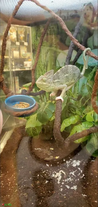 Petco Picture 7