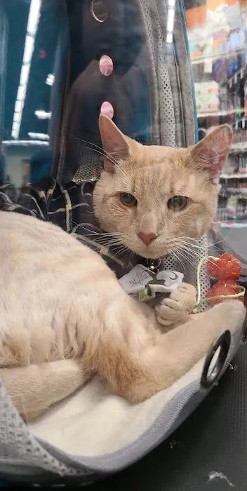 Petco Picture 3