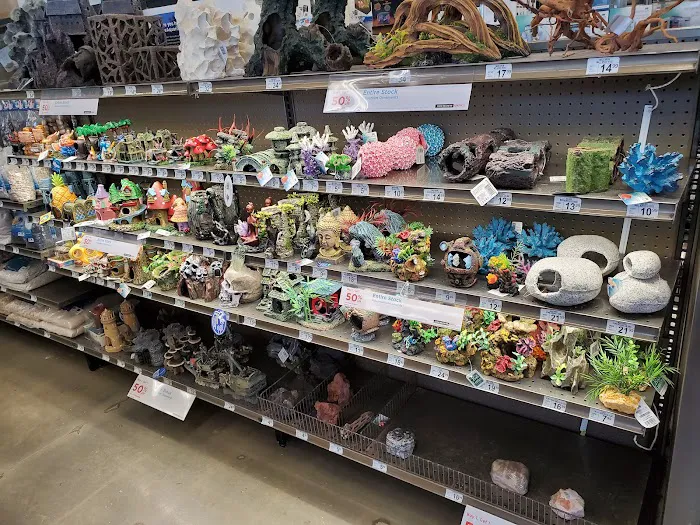 Petco Picture 8