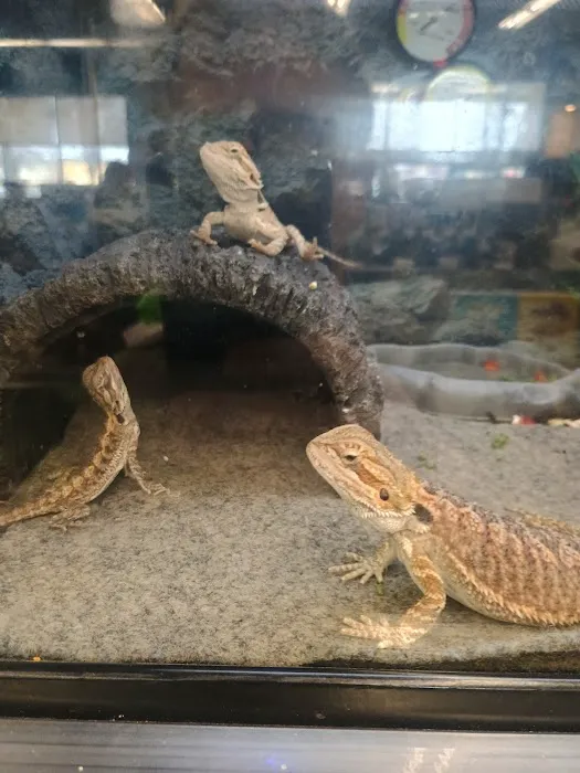 Petco Picture 10