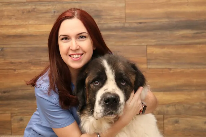 Meriden Animal Hospital Picture 6