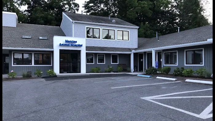 Meriden Animal Hospital Picture 4
