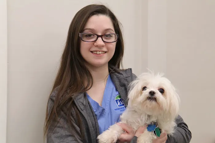 Meriden Animal Hospital Picture 10