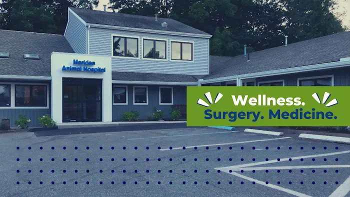 Meriden Animal Hospital Picture 5
