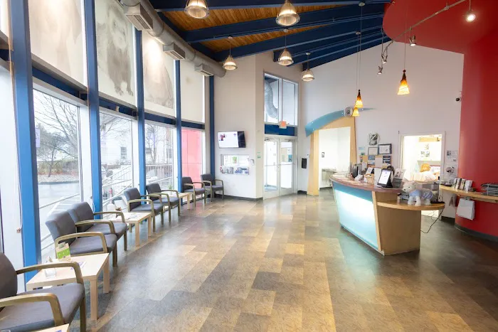 Yalesville Veterinary Hospital Picture 3