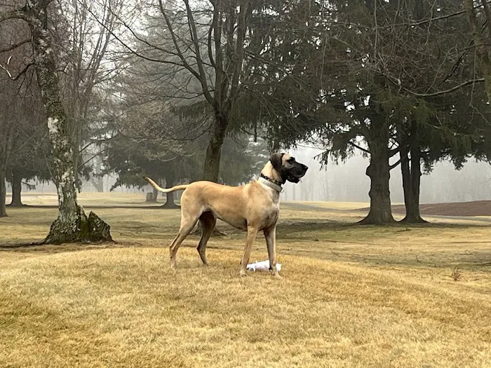 Yalesville Veterinary Hospital Picture 8