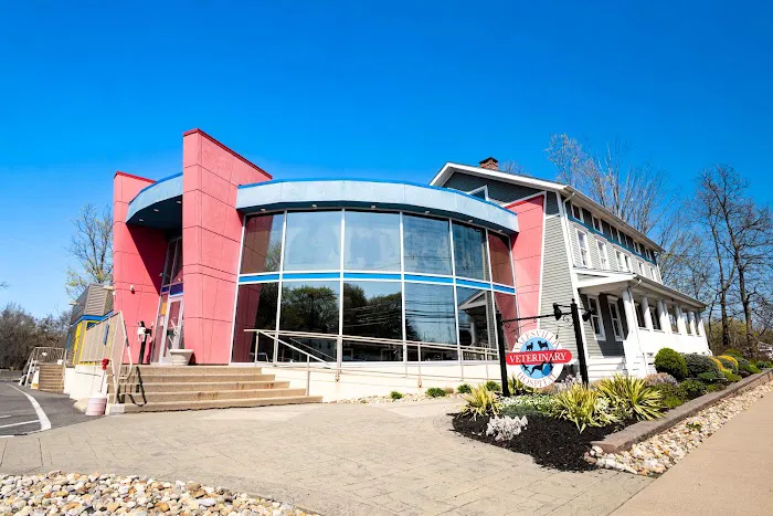 Yalesville Veterinary Hospital Picture 4