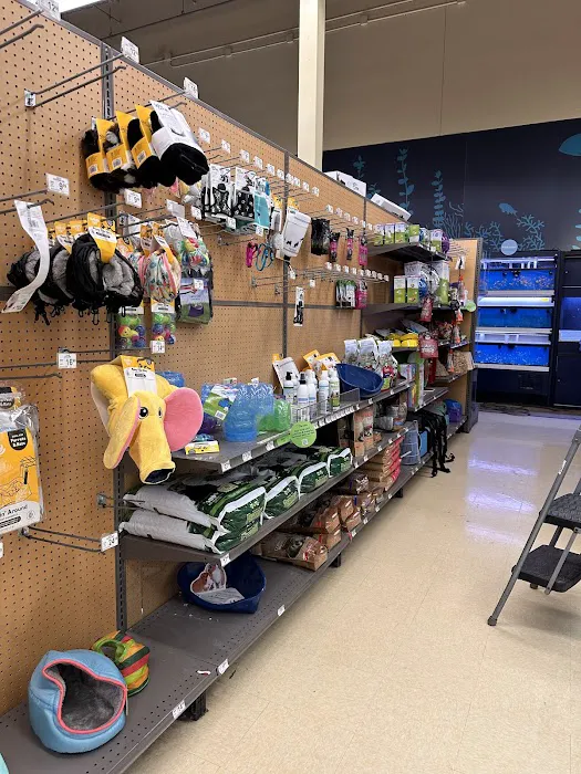 Petco Picture 4