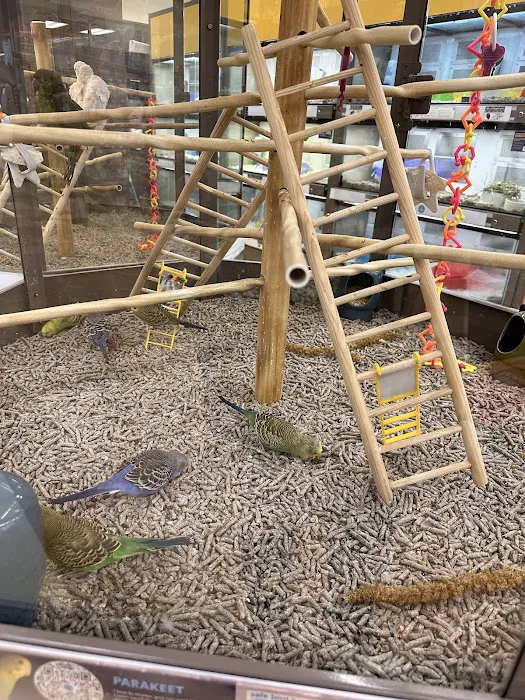 Petco Picture 2