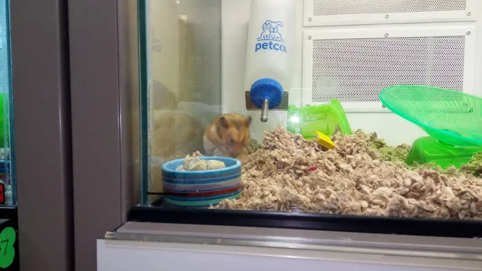Petco Picture 1