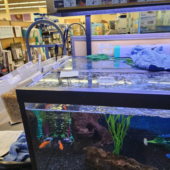 Petco Picture 10