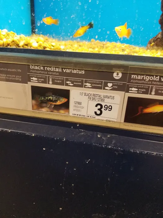 Petco Picture 9