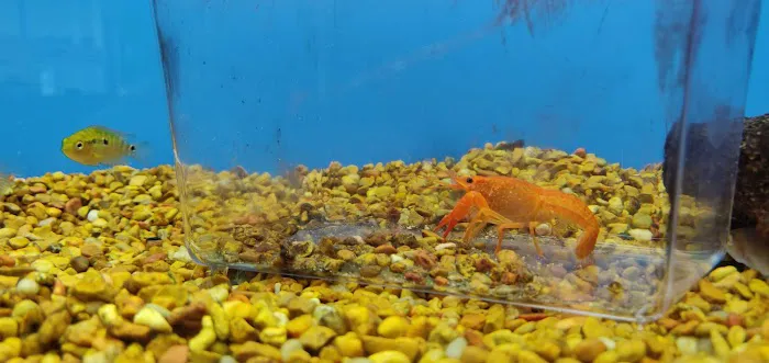 Petco Picture 6