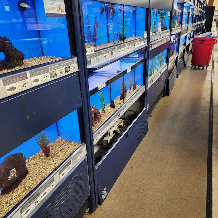 Petco Picture 7