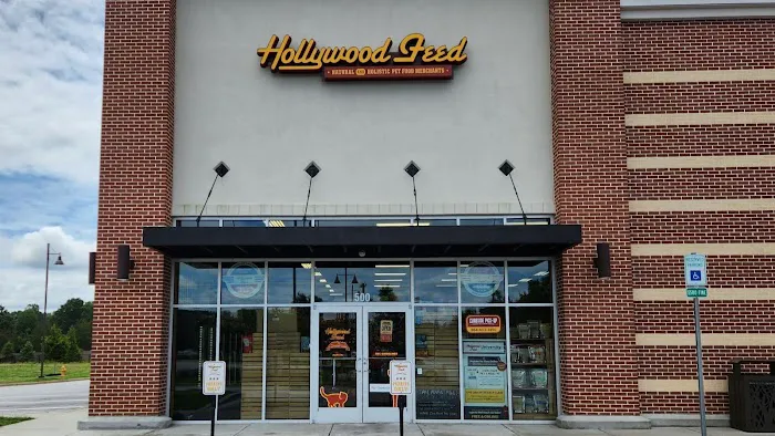 Hollywood Feed Picture 10