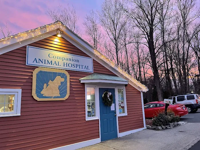Companion Animal Hospital Picture 9