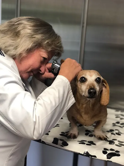 Companion Animal Hospital Picture 7