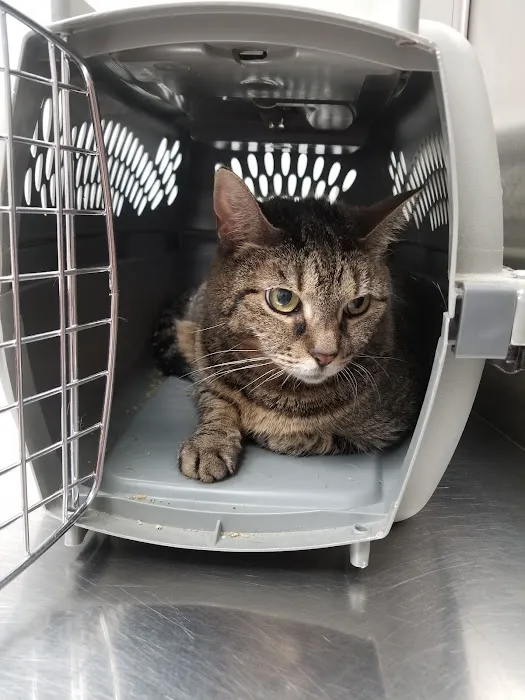 North Haven Animal Hospital Picture 7