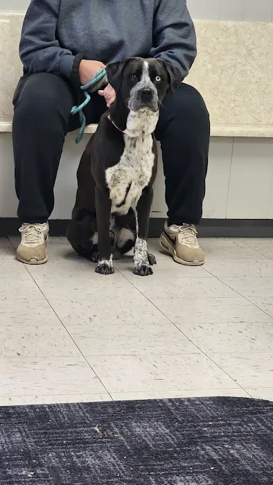 North Haven Animal Hospital Picture 4