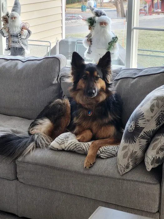 North Haven Animal Hospital Picture 9