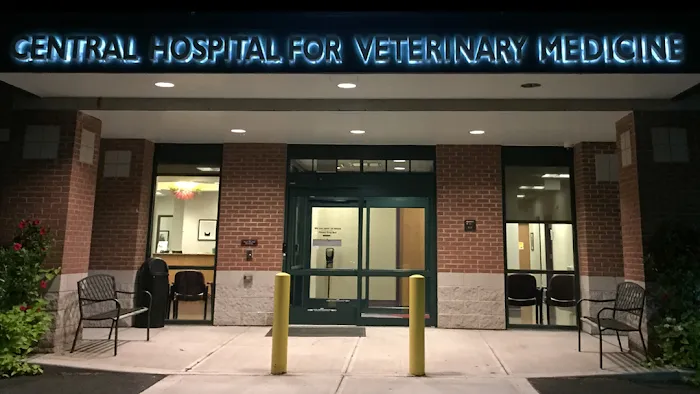 Central Hospital For Veterinary Medicine Picture 6